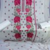 WhatsApp Image 2026-04-06 at 5.39.40 PM Bareeze Lawn embroidered SE-19