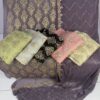Embroidered sohni dharti chiffon-1