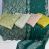 Embroidered sohni dharti chiffon-09