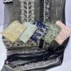 Embroidered sohni dharti chiffon-30