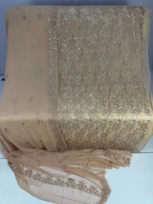 WhatsApp Image 2026-07-14 at 5.34.10 PM Embroidered sohni dharti chiffon SE-47